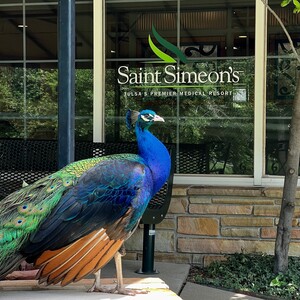 Team Page: Team Saint Simeon's